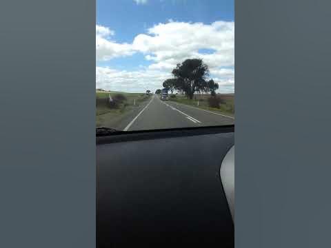 Big Cattle Road Train! (Sa Videoed By Me!) - YouTube