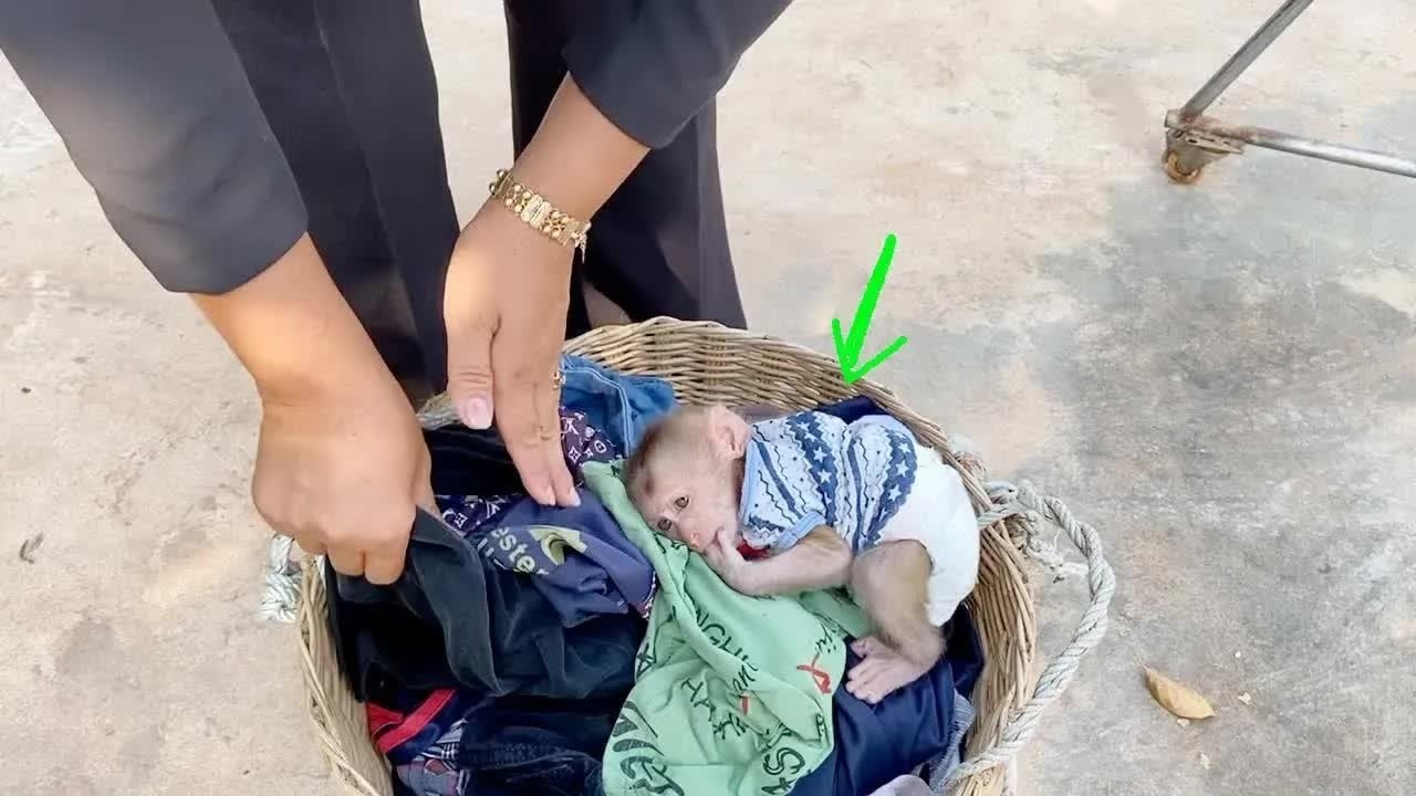 BB DAM Super Moody Angry Mom Drop Him On Cloths Basket