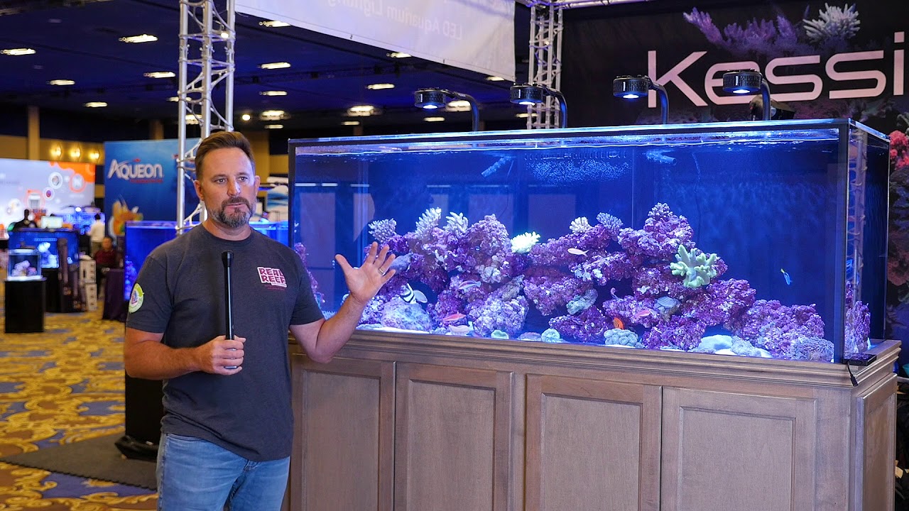 Real Reef Aquarium Rock at MACNA 2018 