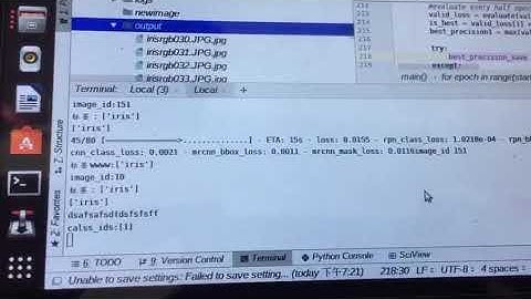 3).Training the proposed Mask R CNN on iris dataset. Loss: 0.0143%