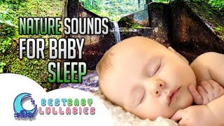 Lullaby for Babies To Go To Sleep Baby Lullaby Songs Go To Sleep Lullaby Lullabies Baby Sleep Music