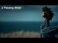 DLEJ A Passing Wind English Version 나는 잠시 머문 바람 mp3