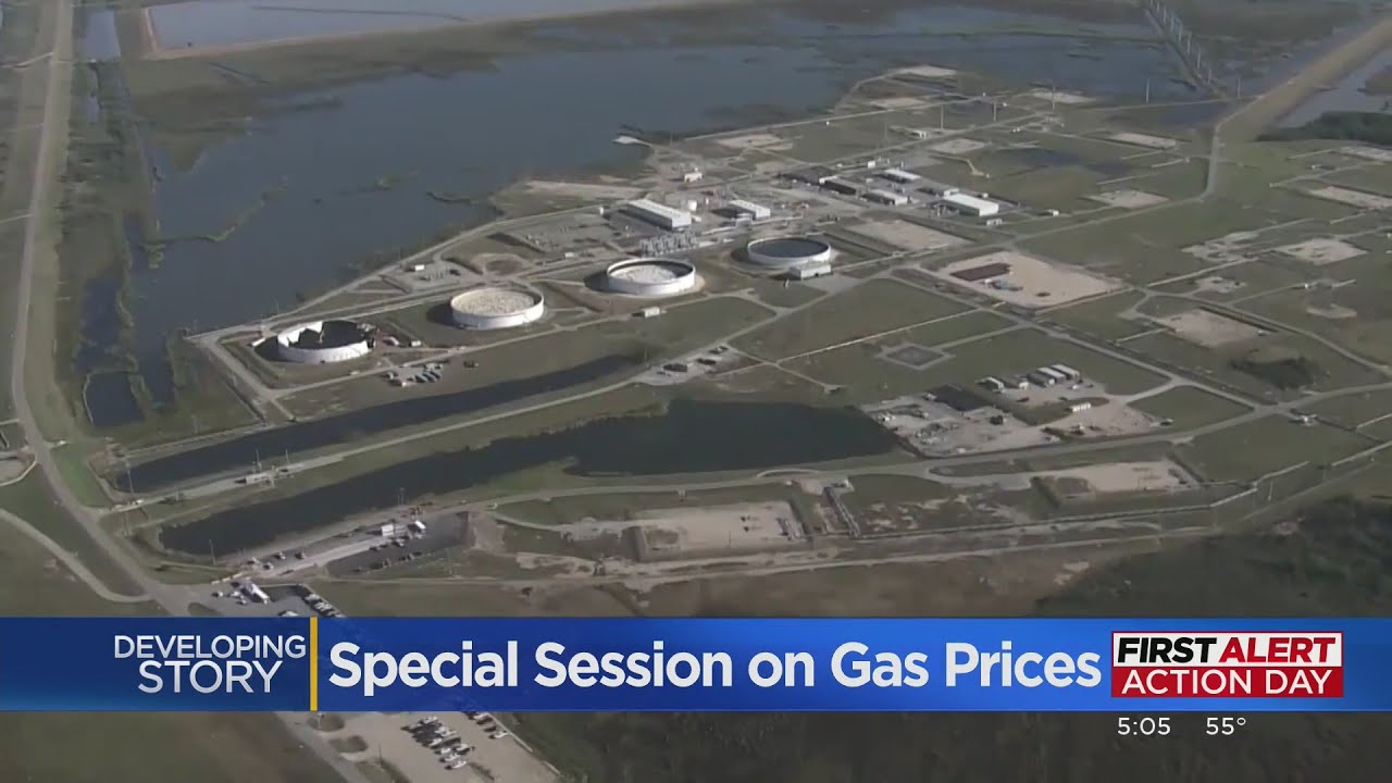 Newsom holds special session on gas prices - YouTube