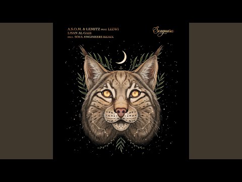 在 YouTube 上观看 Lisan Al Gaib (Soul Engineers Remix Edit)