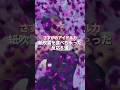 さすがのアイドル力 紙吹雪を食べちゃった反応5選［IVE/LE SSERAFIM/TWICE...］