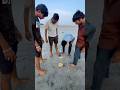 Egg throwing challenge 😹 #funny #shortsfeed