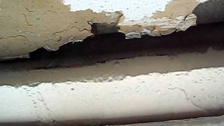 Asbestos ceiling
