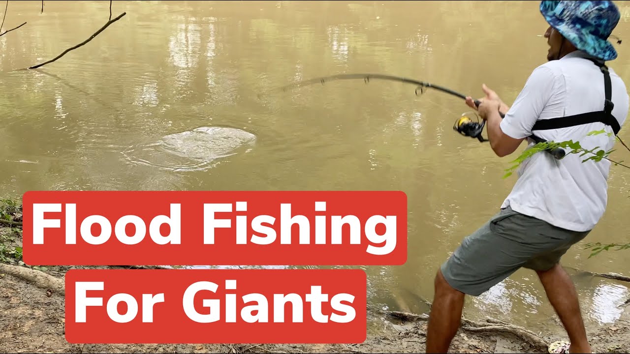 FLOOD FISHING | Houston City Fishing - YouTube