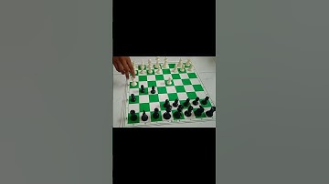 checkmate with Queen 👸👑#short Chess game ||