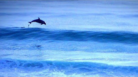 Shutter Speed? Fundamentals Explained | Photography for Beginners | Learnability