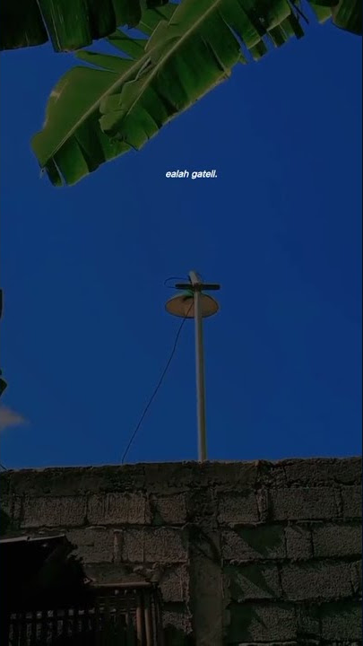 sw wa owalah gatel😌#fypシ #sad #sw