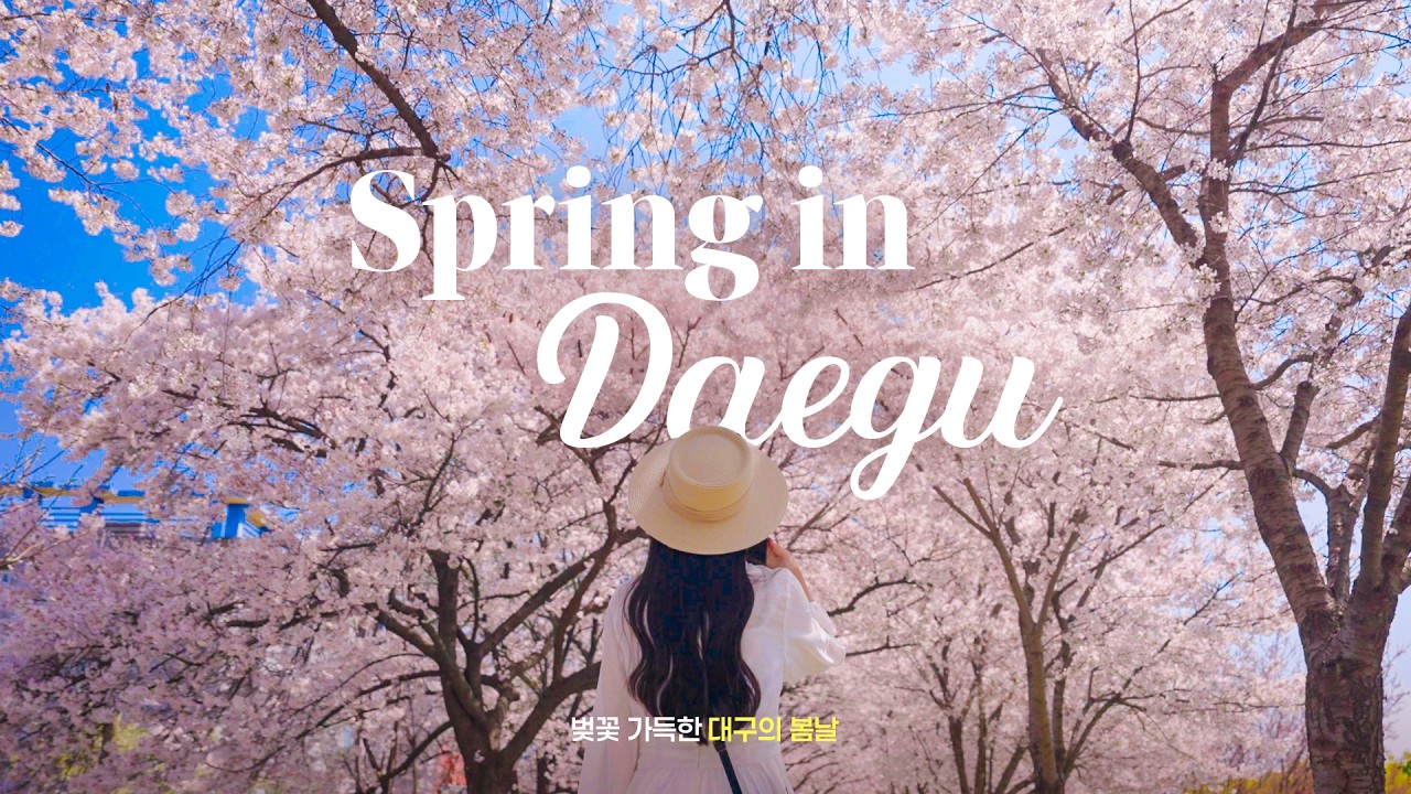 [Spring in Daegu] 봄 = 대구 벚꽃, Cherry Blossom, 大邱櫻花 - YouTube