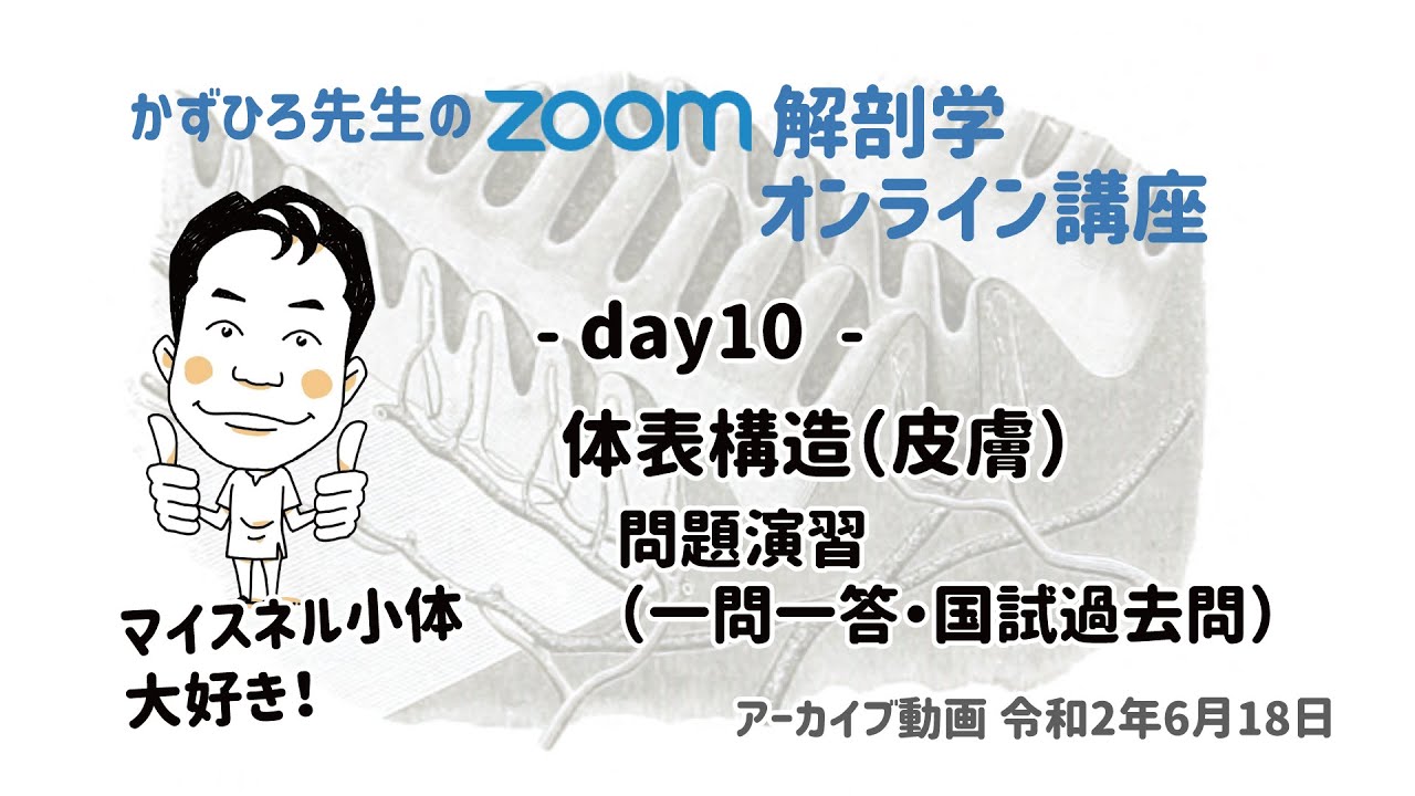 1 3 3 人体の構成 体表構造 皮膚 国試過去問演習 黒澤一弘 Note