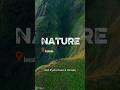 Feel wonderful Nature