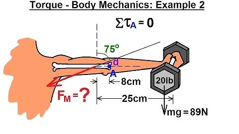 Physics 15  Torque (14 of 27) Body Mechanics: Ex. 2, F=? To Lift Dumbbell