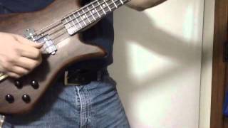 Spector 4 String B Bubinga Top Ebay Auction 250866807544 Luther