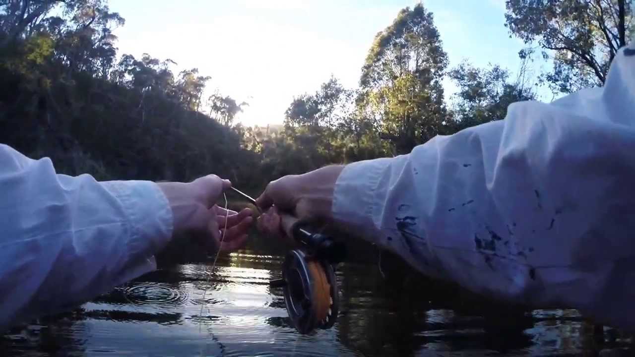 Cotter River Fishing