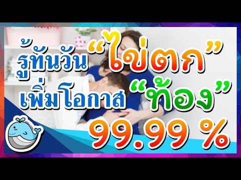 อยากมีลูก รู้ทันวันไข่ตก เพิ่มโอกาสท้องได้แน่นอน | เตรียมพร้อมก่อนตั้งครรภ์ | Whale Family