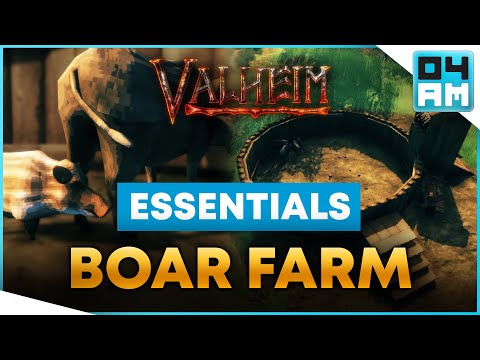 EASY BOAR FARM - Tame & Breed Boars Guide in Valheim (Essentials)