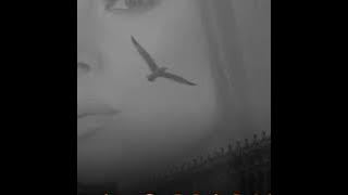 LOLA & HAUSER - LOVE STORY