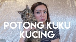 CARA POTONG KUKU KUCING | MY CATS DIARY #2