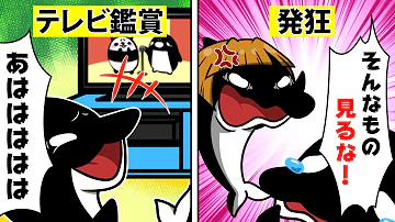 テイペン宗教