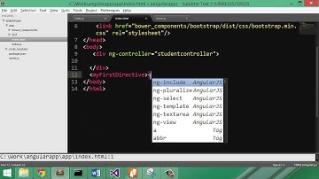 custom directive in angularjs