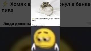 Это же тот хомяк в роблоксе