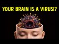 Human Body Facts Your Mirror Won’t Show You