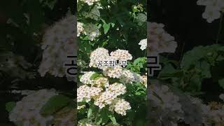 햇빛마을