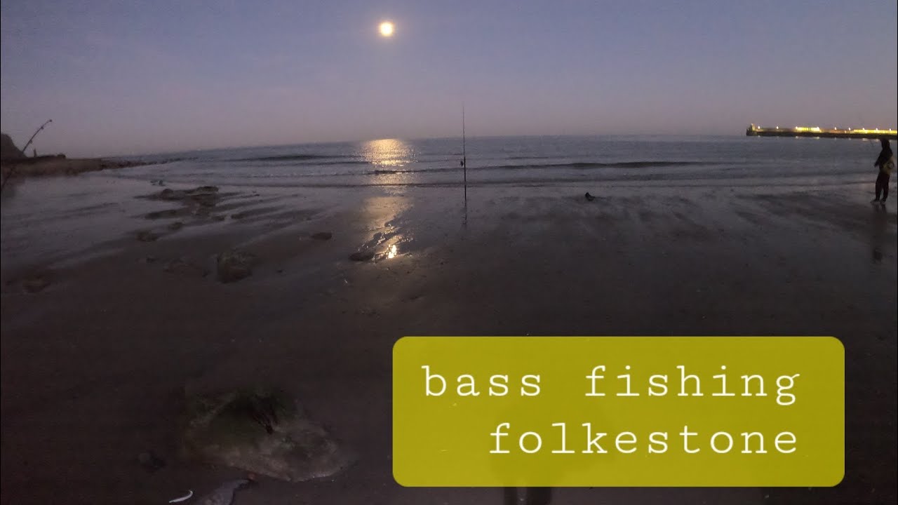 Bass fishing folkestone sands