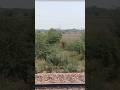 पृथ्वी का घूमना ही सिखाता है—हर रात के बाद सुबह आती है 🌅 #Truth #Viral #Reels