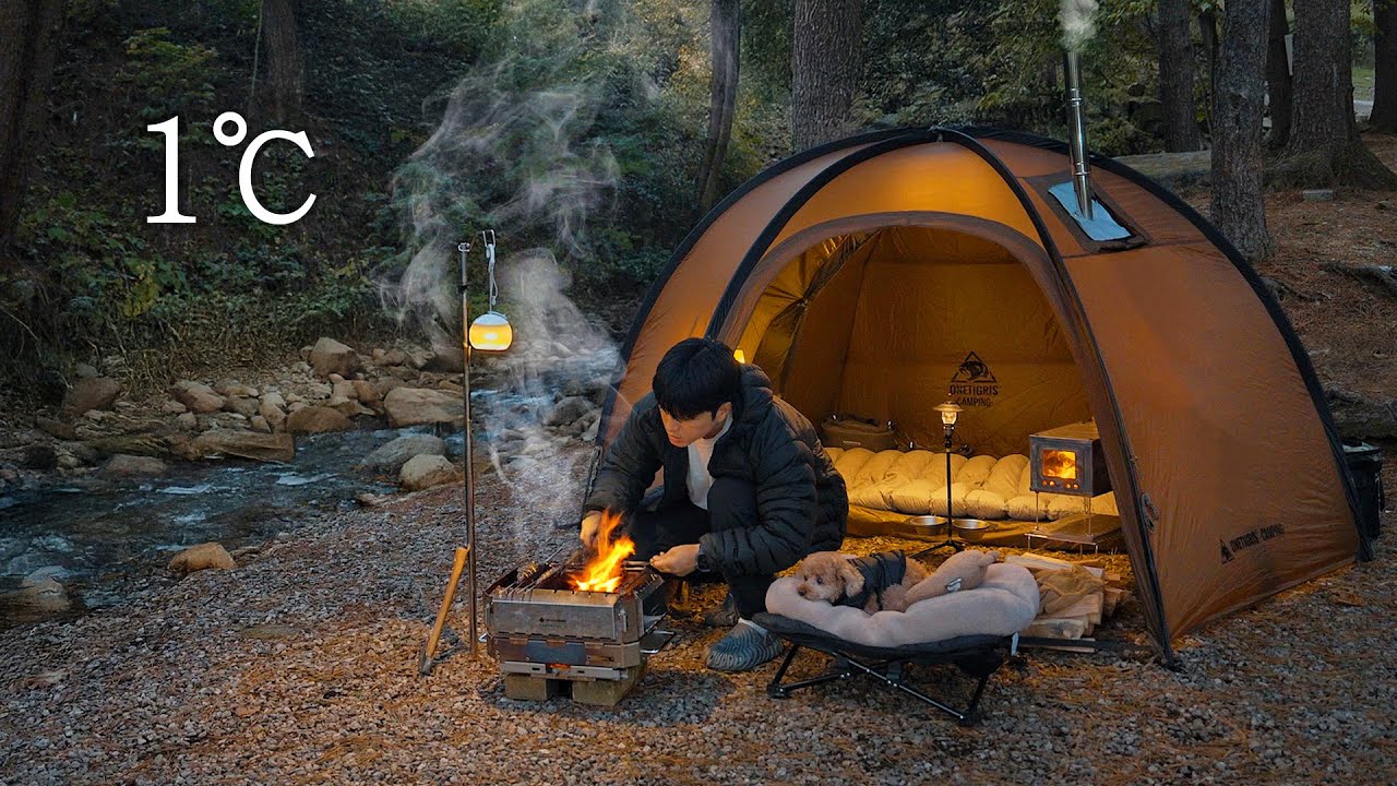 Палаточный кемпинг в лесу с собакой . Жаркая рыба в дикой природе . Дровяная печь ASMR