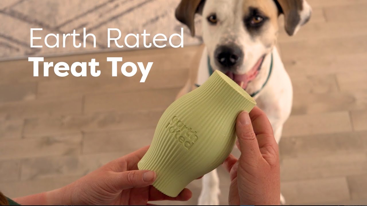 Dog Treat Toy: Everything's Better with Treats – Earth Rated