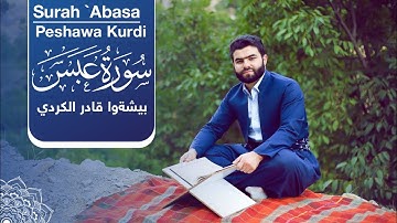 Surah `Abasa- Peshawa Kurdi | سورة عبس كاملة بيشةوا قادر الكردي