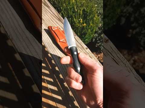 Another Great EDC Fixed Blade Knife