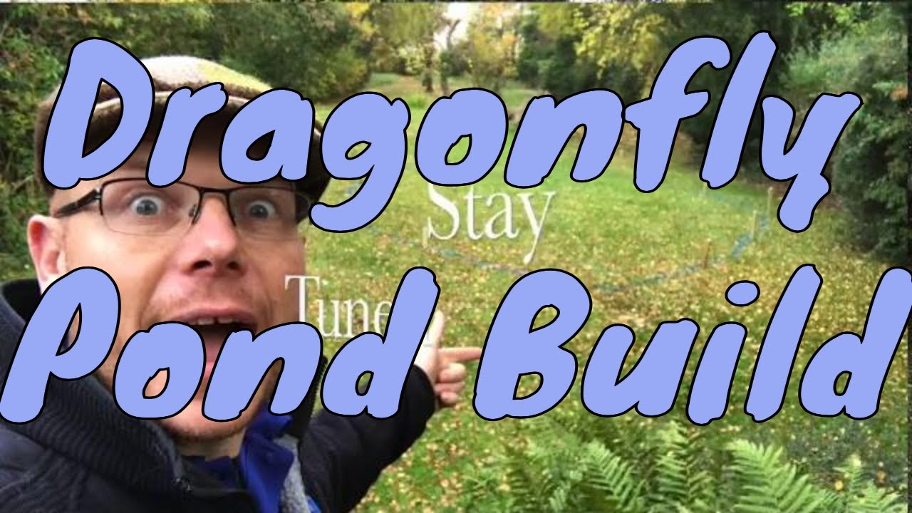Dragonfly Pond Build 1, How to build a Pond Dragonflies UK YouTube