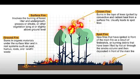 [MODULE 1] Fundamentals of Forest Fire Management - DayDayNews