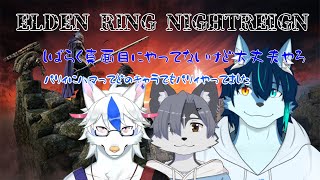 まったりワイワイ夜渡り