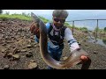 AMAZING FISHING TECHNIQUE, CATCHING LOTS OF EELS,CATCHING MANY FISHES