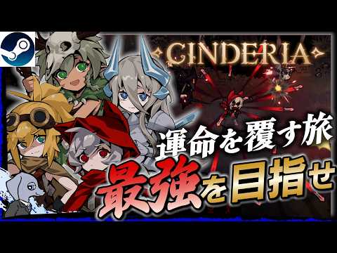 【 Cinderia 】 新たなシナジーを求めて！