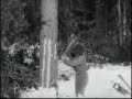 Валка леса в Швеции, 1915 год - Документальное видео