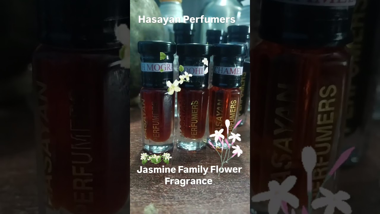 Jasmine flower oil | Ruh Motiya | Chameli | Chameli| Ruh Motoya Distillation | Jasmine Family flower