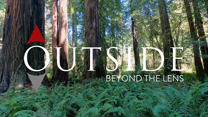 California North Coast Redwoods - Outside Beyond T...