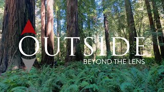 California North Coast Redwoods - Outside Beyond The Lens