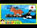 オオヤマネコの赤ちゃんの漂流ㅣ動物名、子供漫画ㅣ日本語ダビング｜CoCosToy