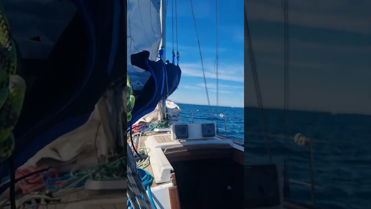 ⁣CANET EN ROUSSILLON #VOILIER ARCADIA #FRANCE #CHASSE DES THONS