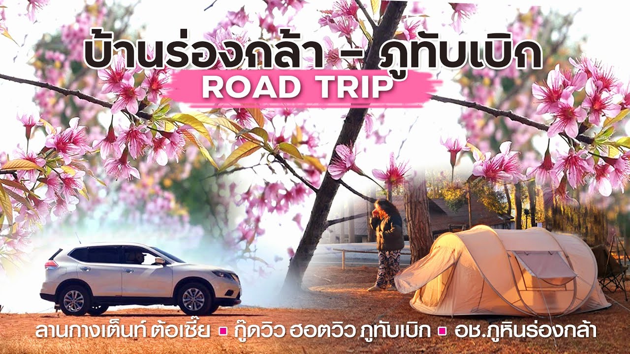 4 วัน 3 คืน ชมดอกพญาเสือโคร่ง ขับรถเที่ยวบ้านร่องกล้า - ภูทับเบิก | กางเต็นท์ - นอนในรถ Full version