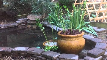 DIY Pond Wet/Dry Filter