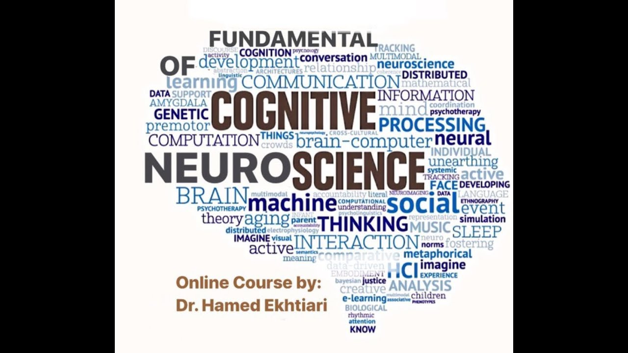 cognitive neuroscience on problem solving